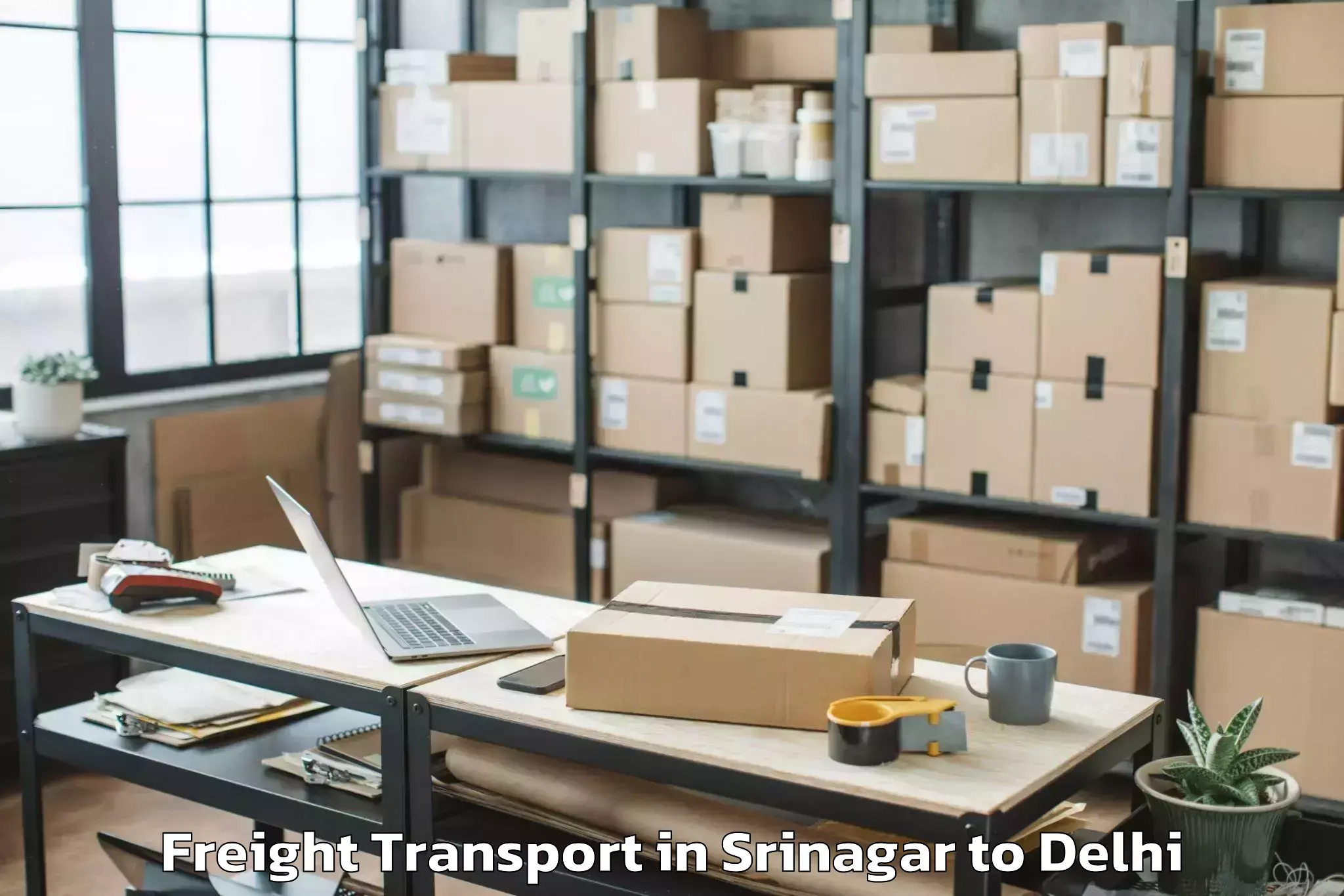 Leading Srinagar to Palam Freight Transport Provider